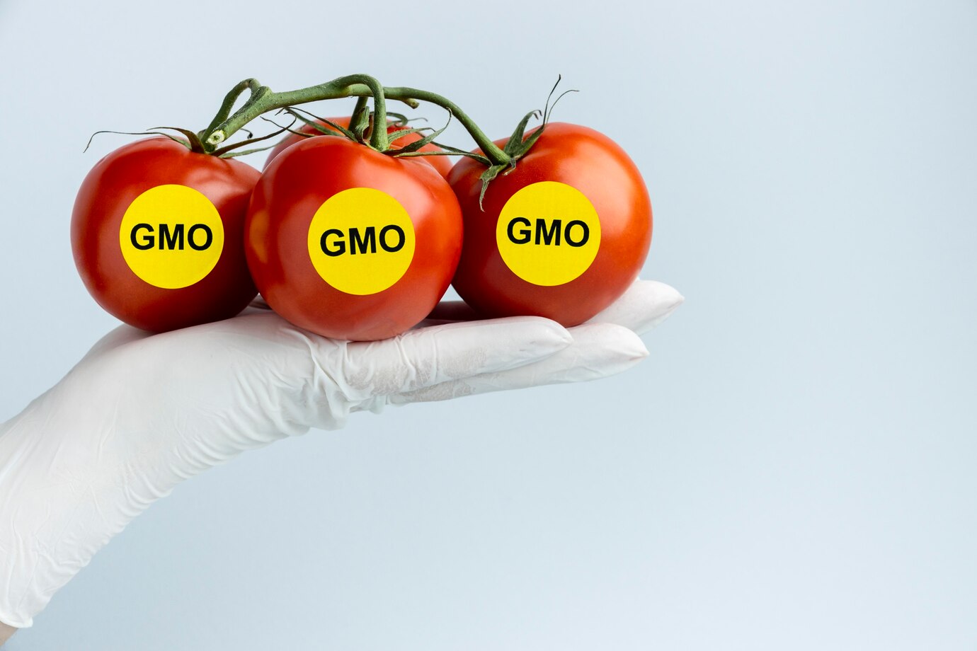 GMO Health Effects