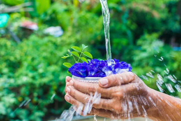 Garden’s Unique Water Needs