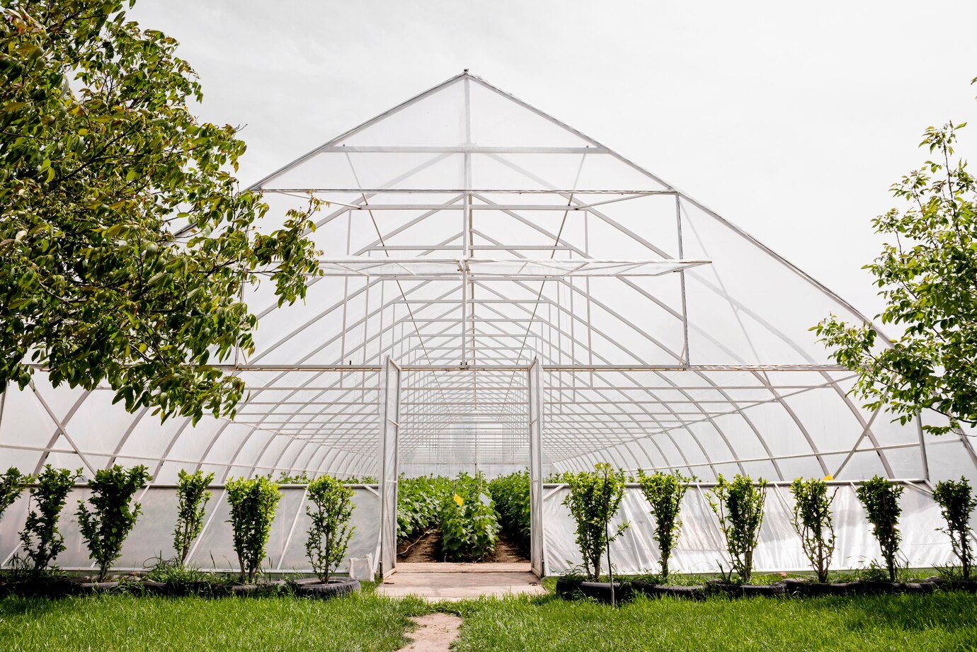 Greenhouse Design