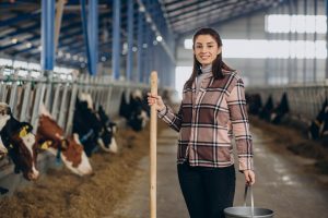Livestock Farming Success