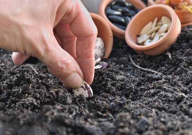 Organic Fertilizers Improve Soil Health