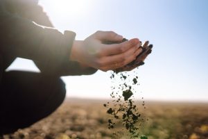 Soil Health Benefits