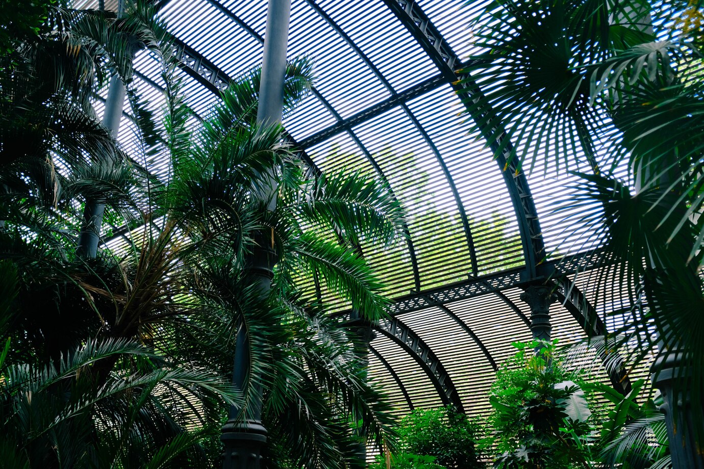 green-house